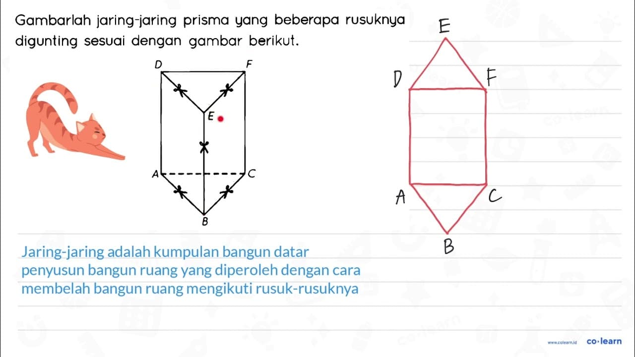 Gambarlah jaring-jaring prisma yang beberapa rusuknya