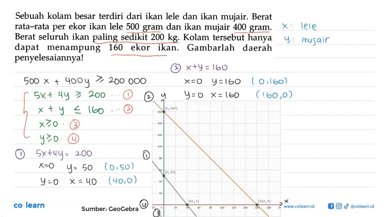 Sebuah kolam besar terdiri dari ikan lele dan ikan mujair.