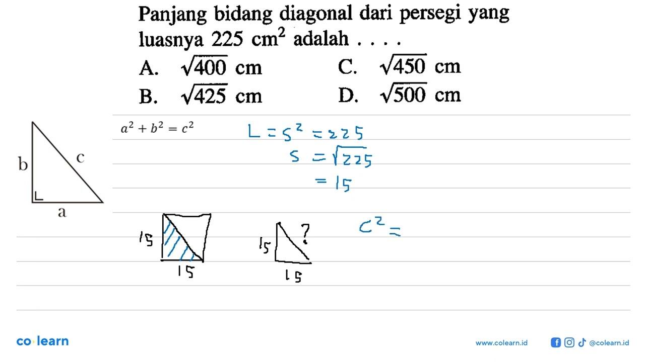 Panjang bidang diagonal dari persegi yang luasnya 225 cm^2