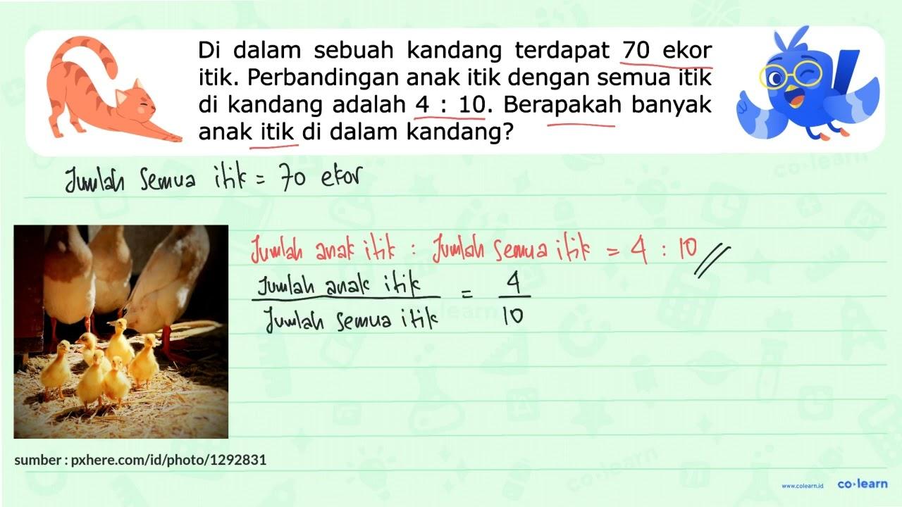 Di dalam sebuah kandang terdapat 70 ekor itik. Perbandingan