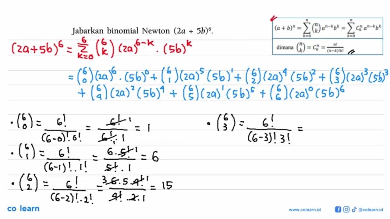 Jabarkan binomial Newton (2a+5b)^6.