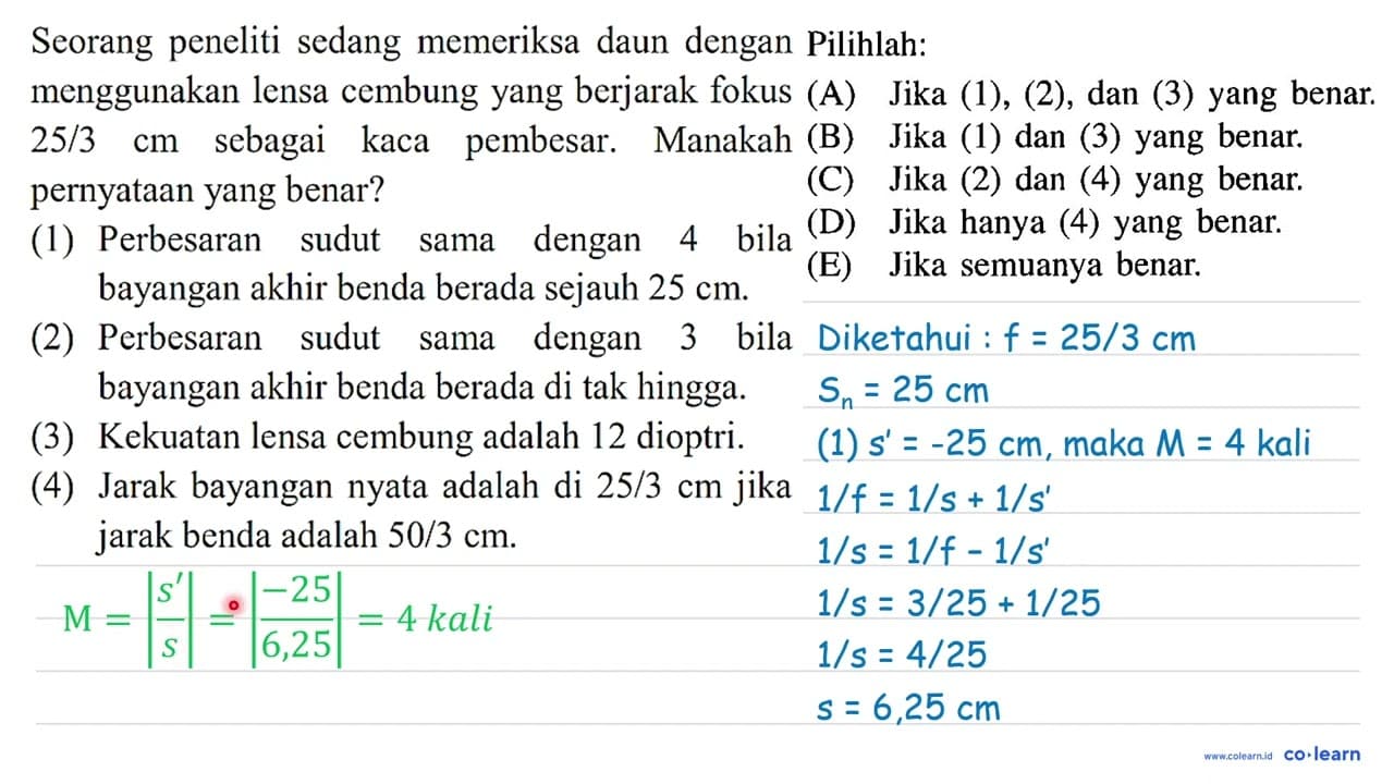 Seorang peneliti sedang memeriksa daun dengan menggunakan