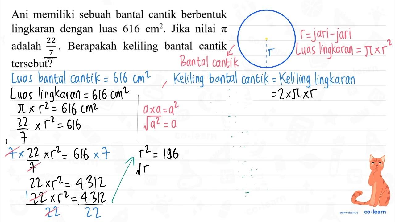 Ani memiliki sebuah bantal cantik berbentuk lingkaran