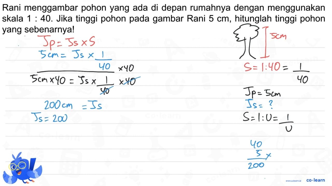 Rani menggambar pohon yang ada di depan rumahnya dengan