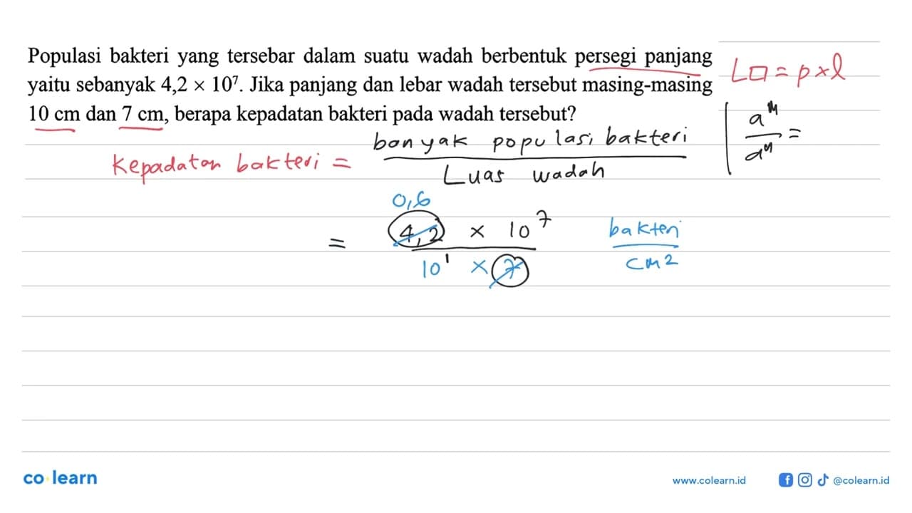 Populasi bakteri yang tersebar dalam suatu wadah berbentuk