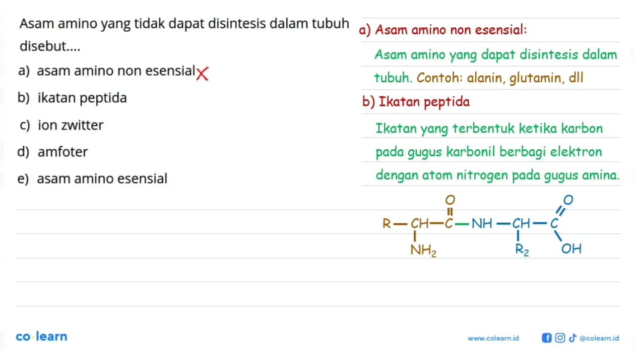 Asam amino yang tidak dapat disintesis dalam tubuh