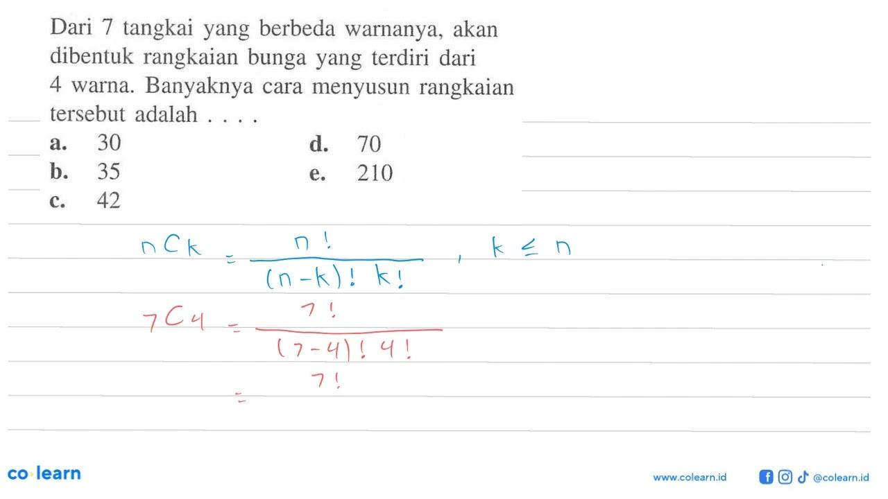 Dari 7 tangkai yang berbeda warnanya, akan dibentuk