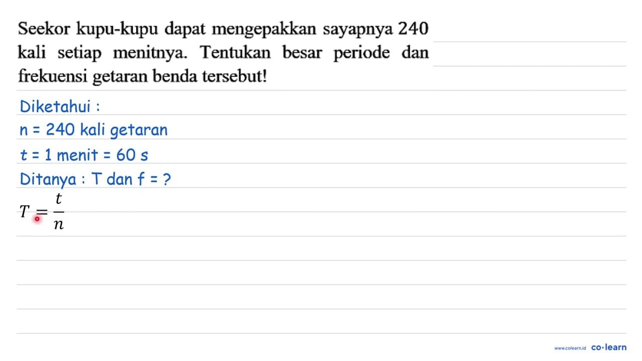 Seekor kupu-kupu dapat mengepakkan sayapnya 240 kali setiap