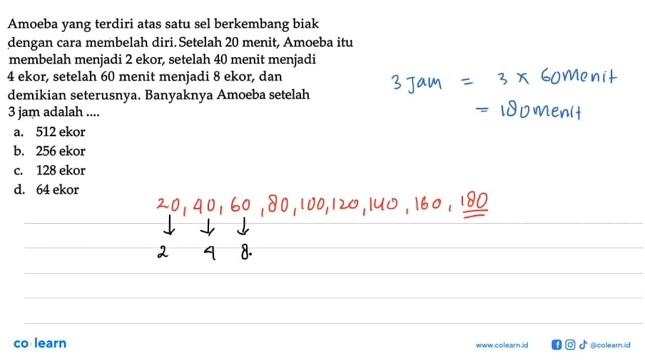 Amoeba yang terdiri atas satu sel berkembang biak dengan