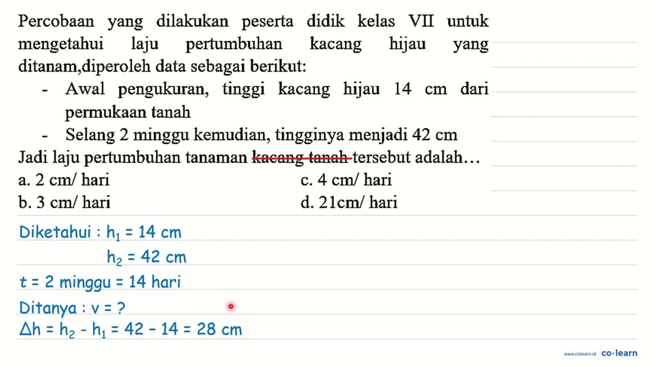 Percobaan yang dilakukan peserta didik kelas VII untuk