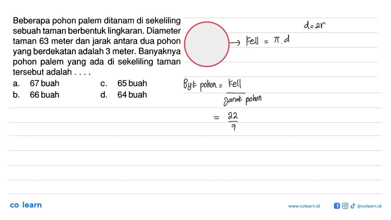 Beberapa pohon palem ditanam di sekeliling sebuah taman
