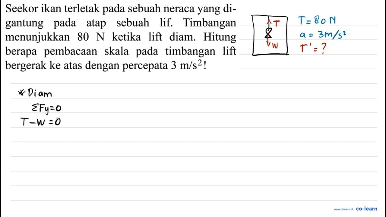 Seekor ikan terletak pada sebuah neraca yang digantung pada