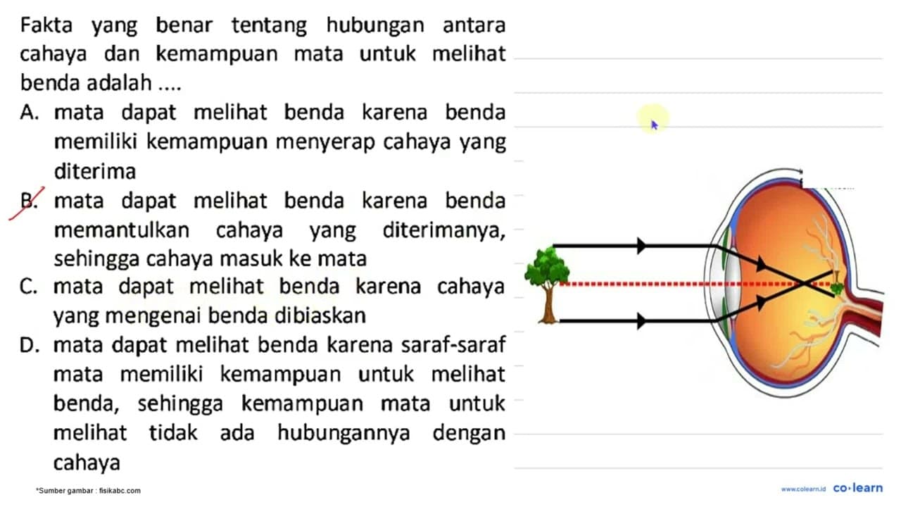 Fakta yang benar tentang hubungan antara cahaya dan