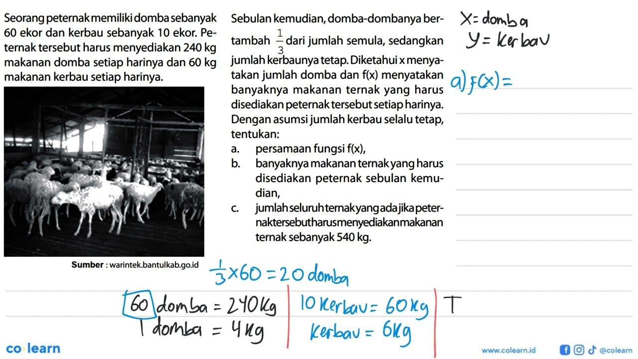 Seorang peternak memiliki domba sebanyak 60 ekor dan kerbau