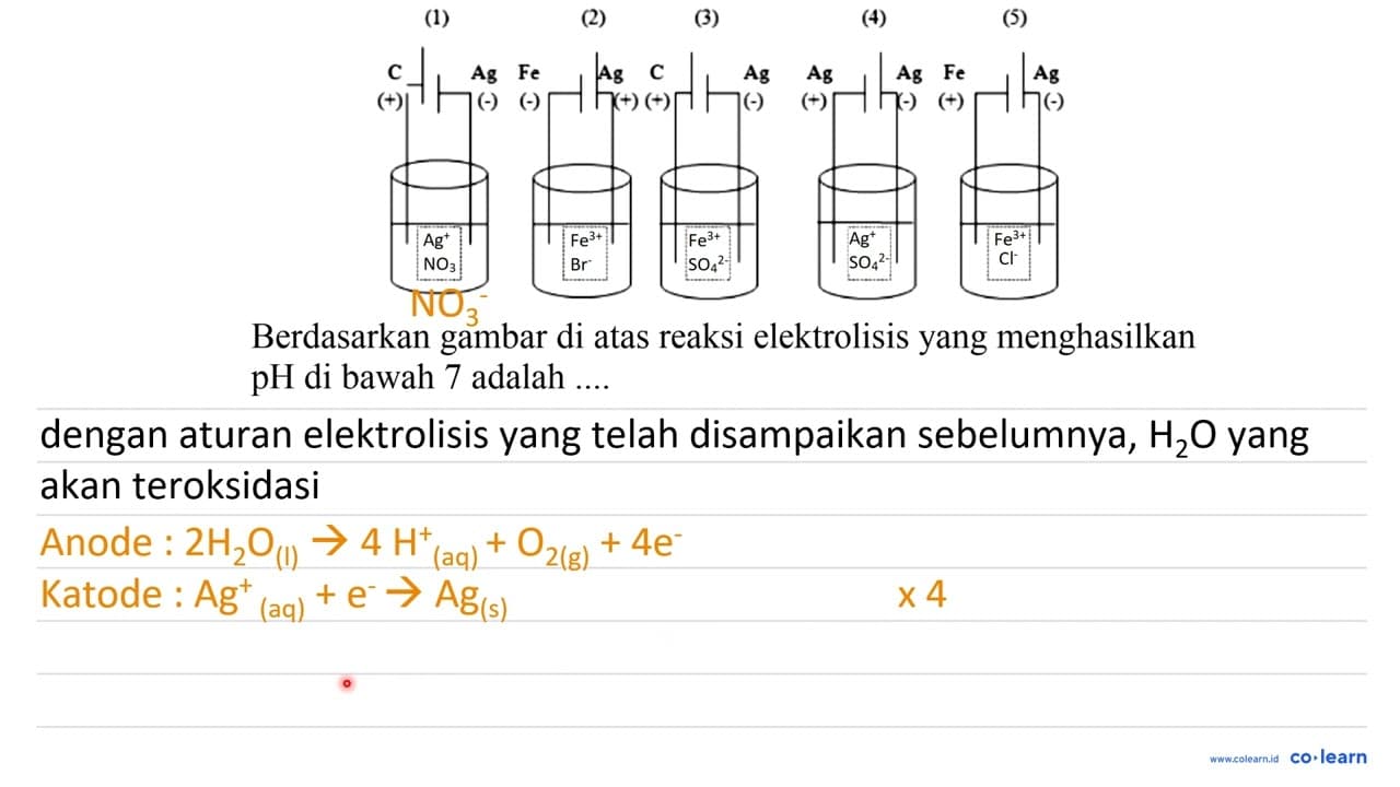 (1) (2) (3) (4) C Ag Ag C Ag AG AG Fe Ag Ag NO3 Fe^3+ Br