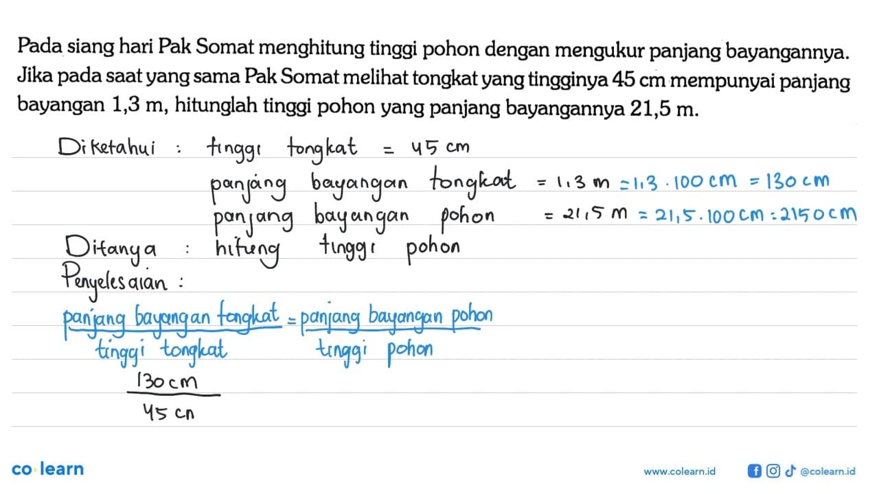 Pada siang hari Pak Somat menghitung tinggi pohon dengan