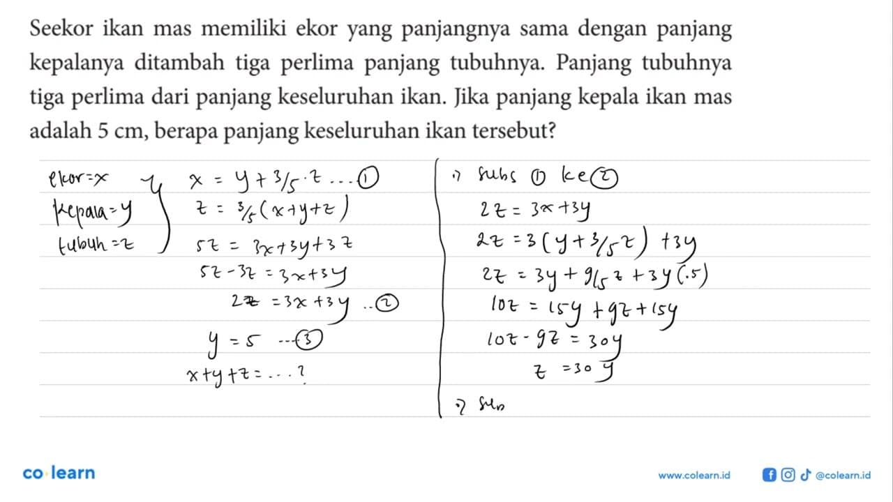 Seekor ikan mas memiliki ekor yang panjangnya sama dengan