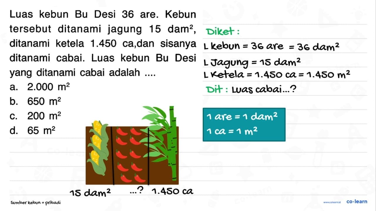 Luas kebun Bu Desi 36 are. Kebun tersebut ditanami jagung