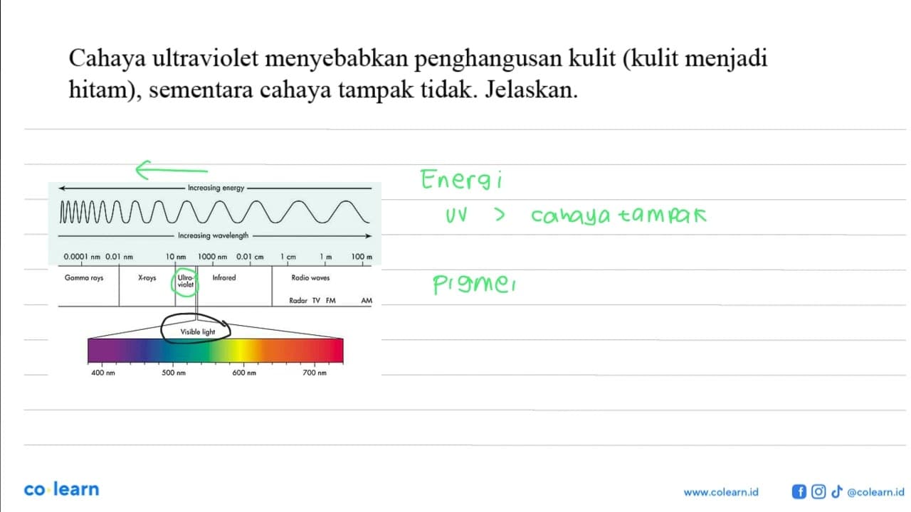 Cahaya ultraviolet menyebabkan penghangusan kulit (kulit