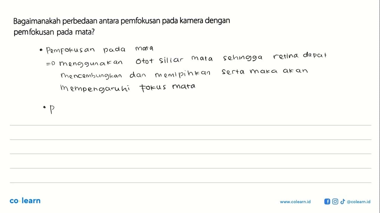 Bagaimanakah perbedaan antara pemfokusan pada kamera dengan