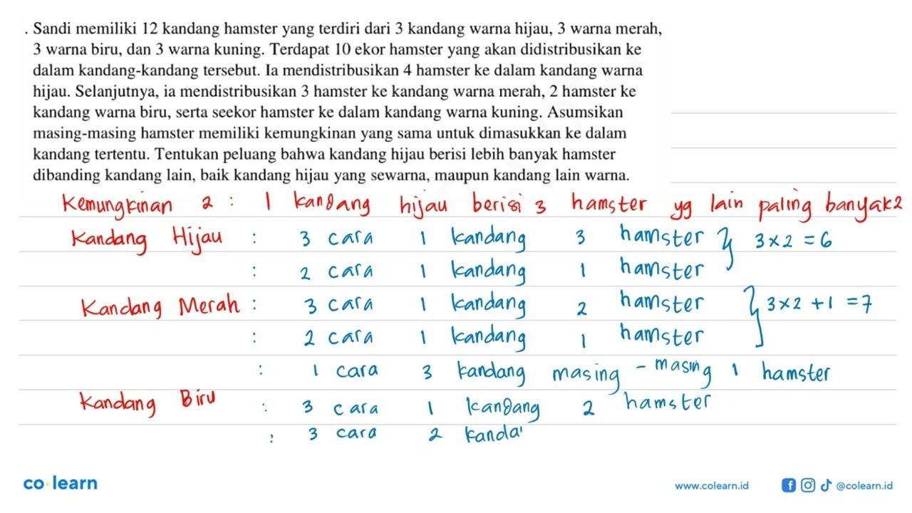 Sandi memiliki 12 kandang hamster yang terdiri dari 3