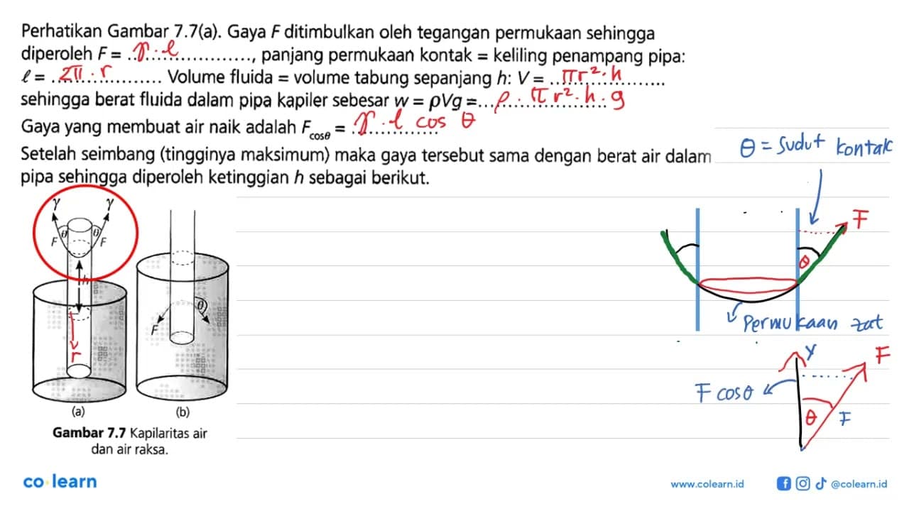 (a) gamma gamma theta theta F F h (b) theta F Perhatikan