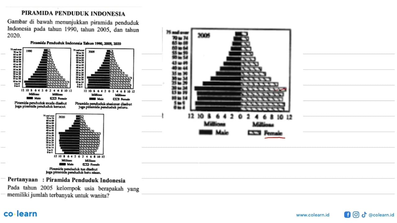 PIRAMIDA PENDUDUK INDONESIA Gambar di bawah menunjukkan