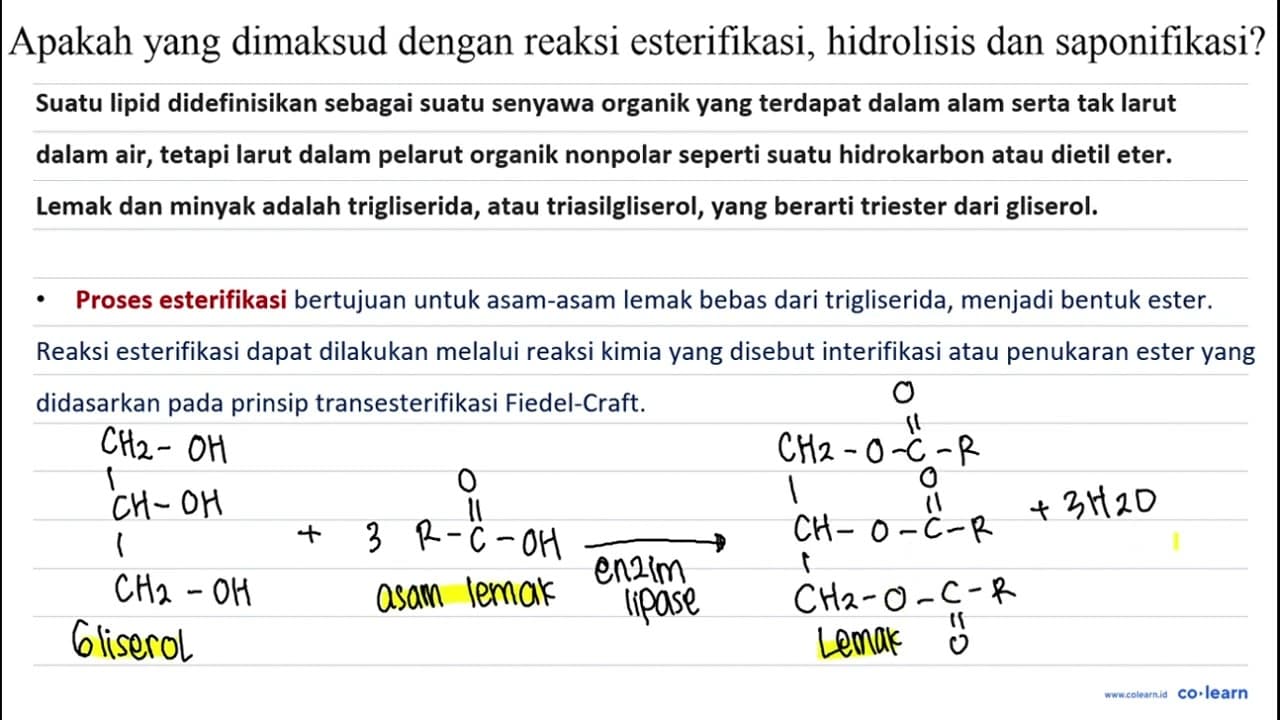 Apakah yang dimaksud dengan reaksi esterifikasi, hidrolisis