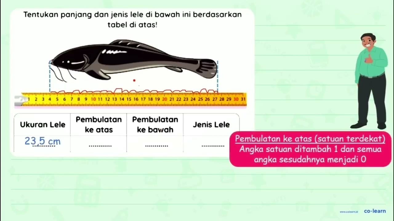 Dalam setiap panen, Pak Irkham mengelompokkan lele menjadi