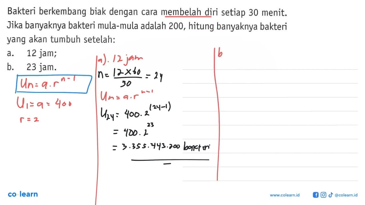 Bakteri berkembang biak dengan cara membelah diri setiap 30