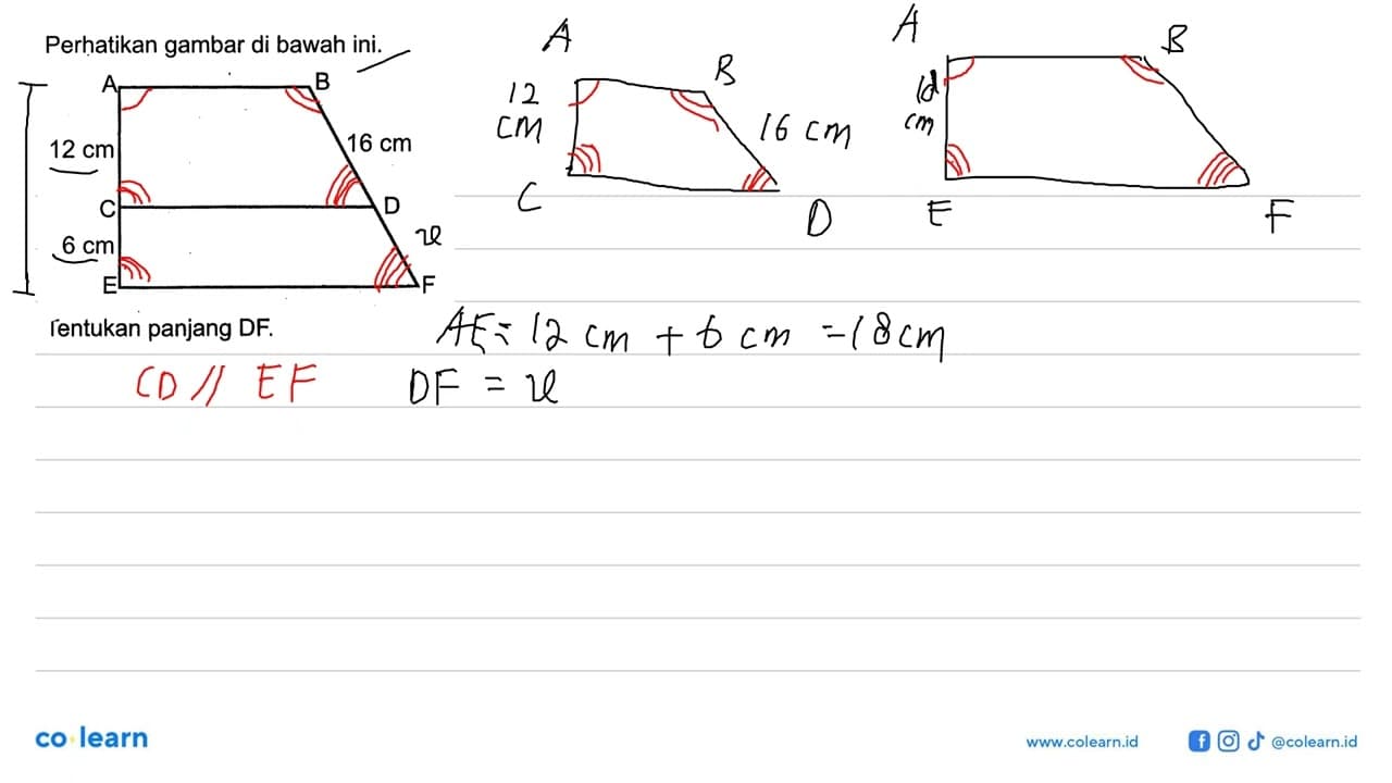 Perhatikan gambar di bawah ini. Tentukan panjang DF.