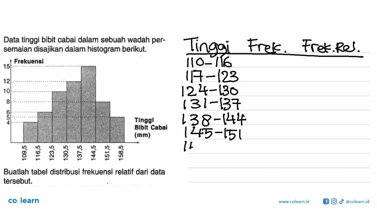 Data tinggi bibit cabai dalam sebuah wadah persemaian