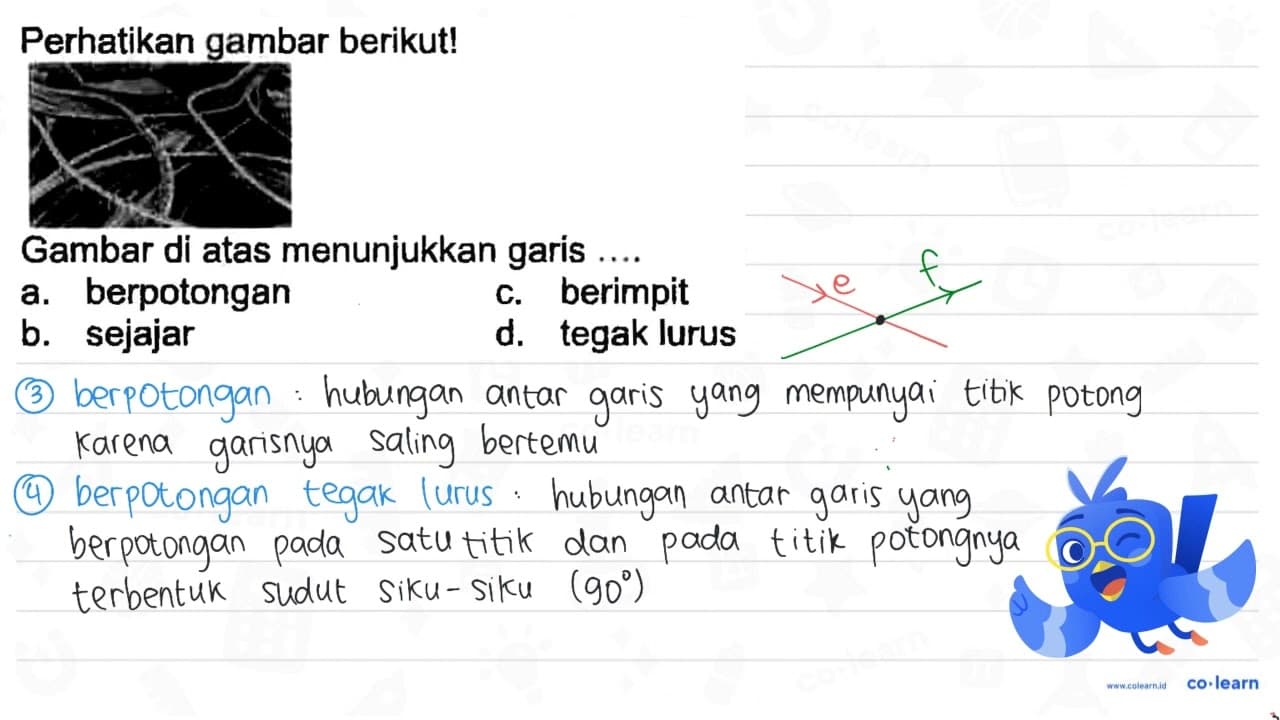 Perhatikan gambar berikut! Gambar di atas menunjukkan garis