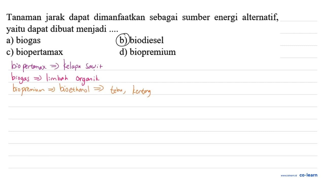 Tanaman jarak dapat dimanfaatkan sebagai sumber energi