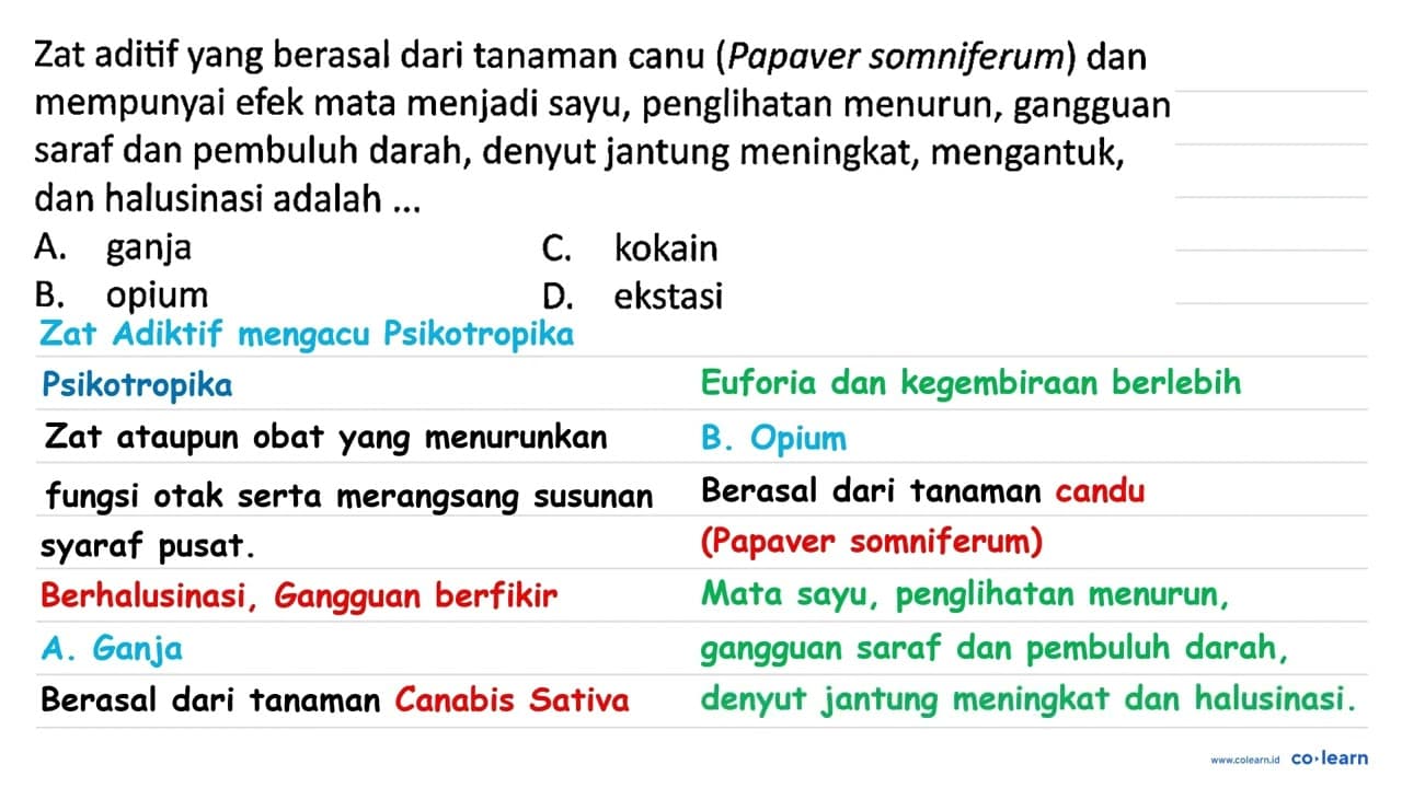 Zat aditif yang berasal dari tanaman canu (Papaver