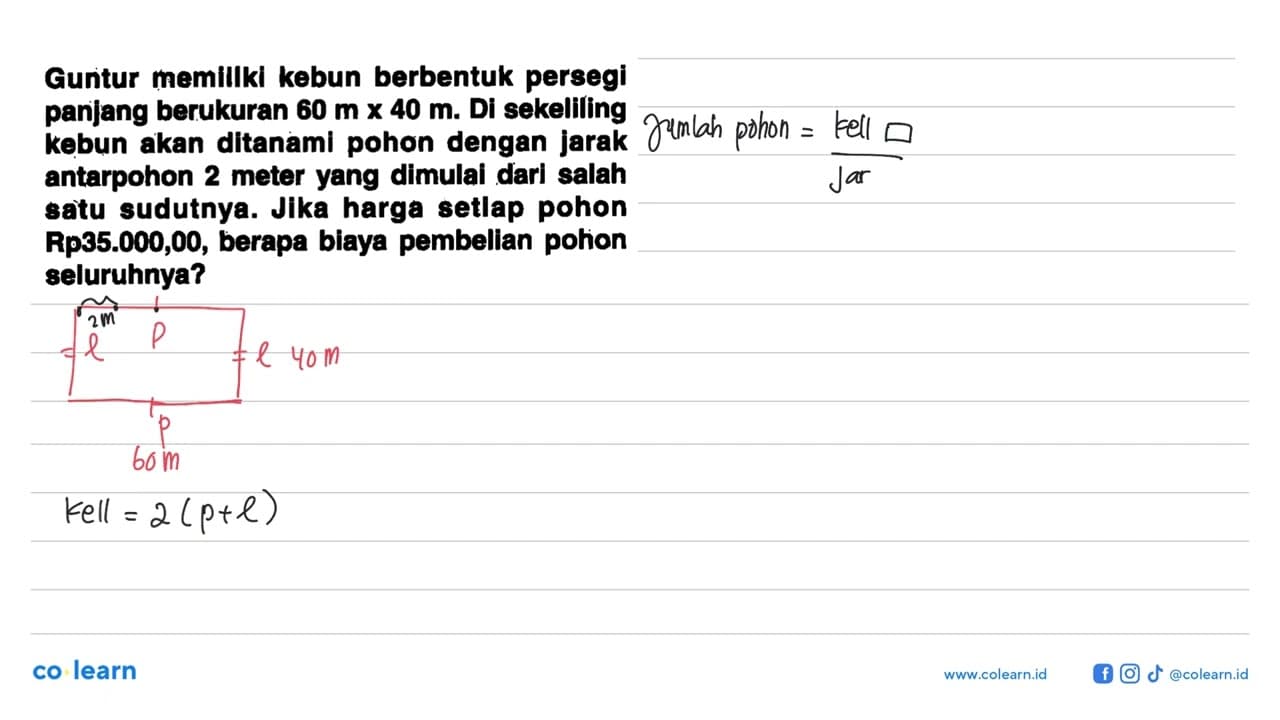 Guntur memillki kebun berbentuk persegi panjang berukuran