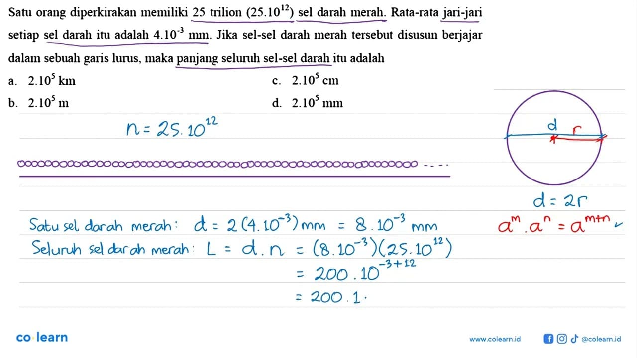 Satu orang diperkirakan memiliki 25 trilion (25.10^12)) sel