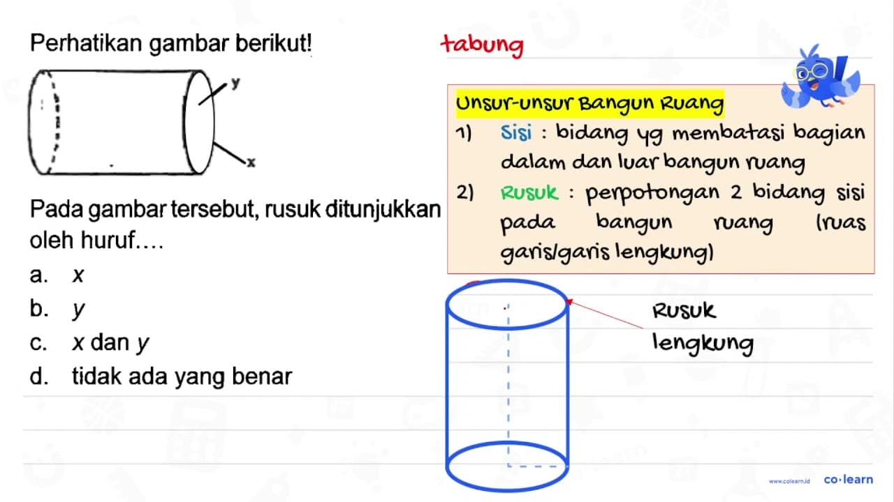 Perhatikan gambar berikut! Pada gambar tersebut, rusuk