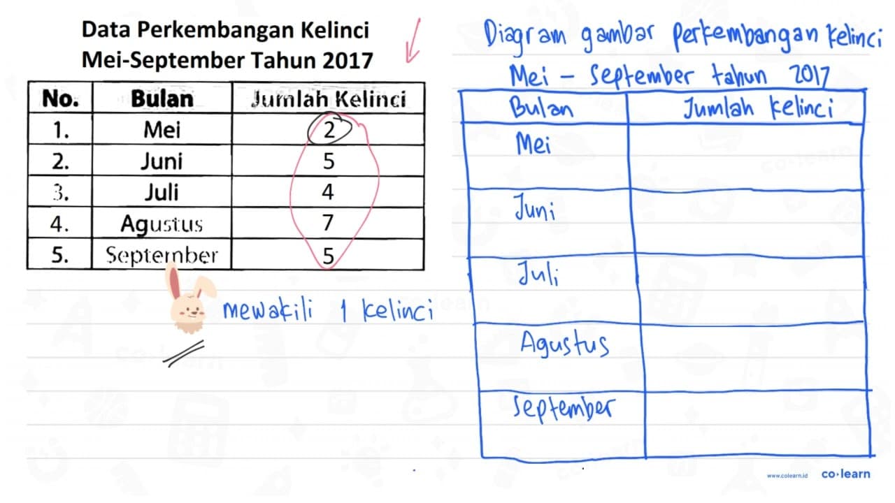 Gilang memiliki data perkembangan kelinci peliharaanya dari