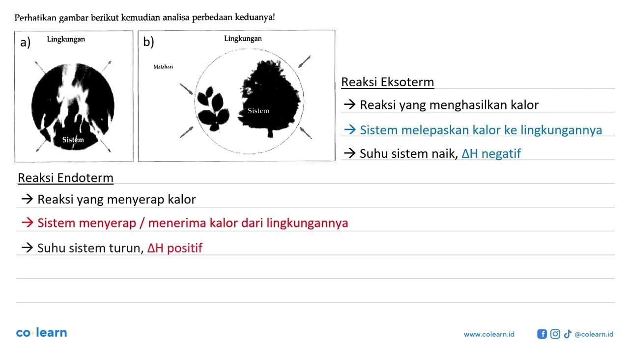 Perhatikan gambar berikut kemudian analisa perbedaan