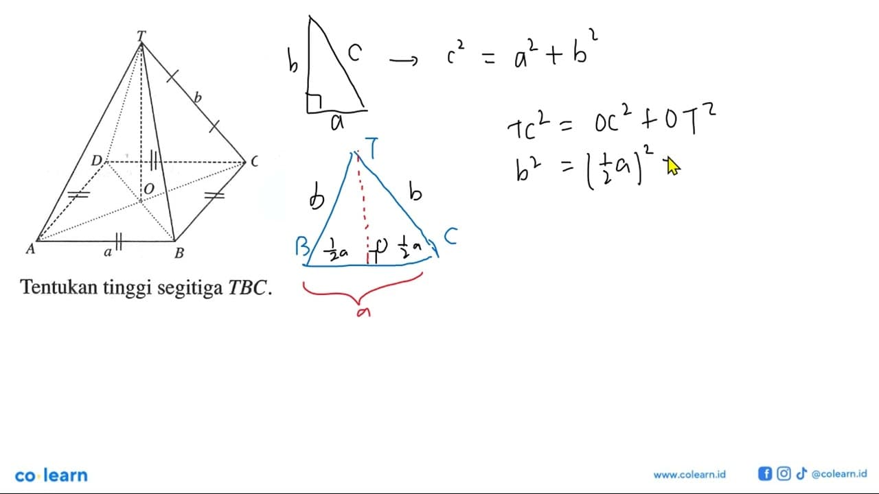 Tentukan tinggi segitiga TBC .