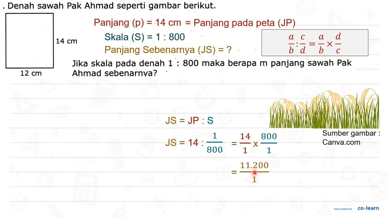 Denah sawah Pak Ahmad seperti gambar berikut. Jika skala