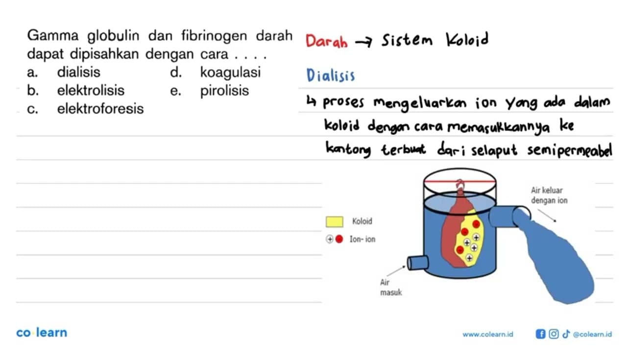 Gamma globulin dan fibrinogen darah dapat dipisahkan dengan