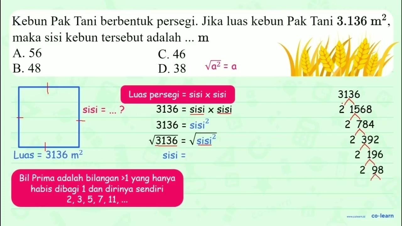 Kebun Pak Tani berbentuk persegi. Jika luas kebun Pak Tani