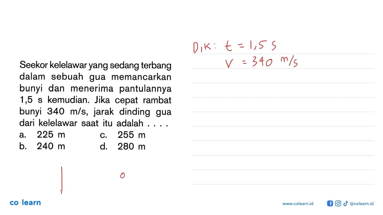 Seekor kelelawar yang sedang terbang dalam sebuah gua