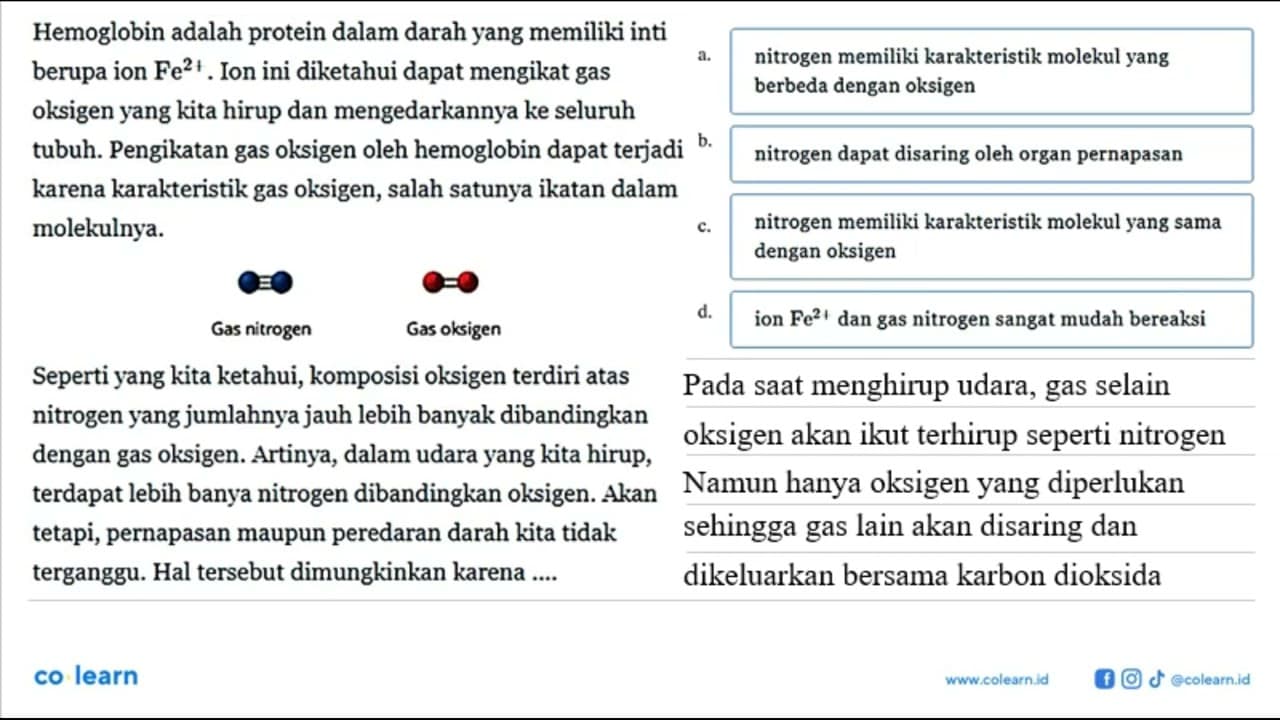 Hemoglobin adalah protein dalam darah yang memiliki inti