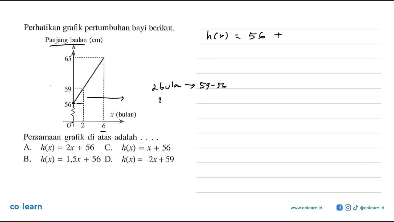 Perhatikan grafik pertumbuhan bagi berikut. Persamaan