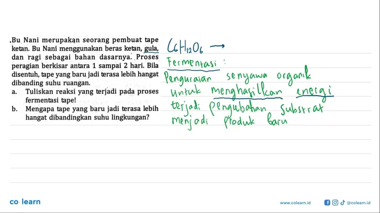 Bu Nani merupakan seorang pembuat tape ketan. Bu Nani