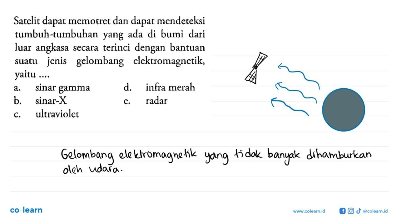 Satelit dapat memotret dan dapat mendeteksi tumbuh-tumbuhan