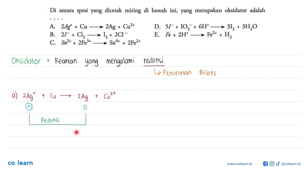 Di antara spesi yang dicetak miring di bawah ini, yang